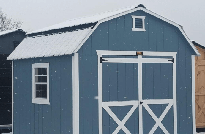 Our Shed